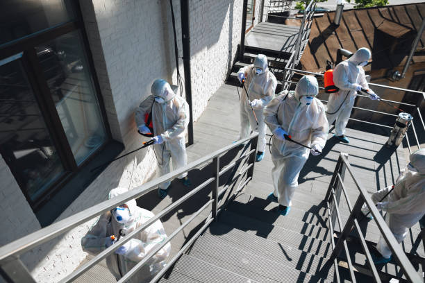 Best Mold Removal for HVAC Installations  in Corcoran, CA