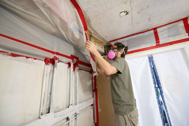 Best Post-Remediation Verification Testing  in Corcoran, CA