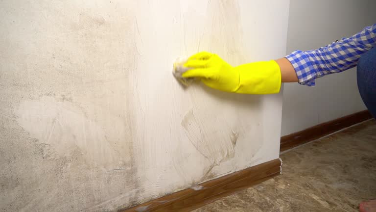 Best Air Quality Testing for Mold Spores  in Corcoran, CA