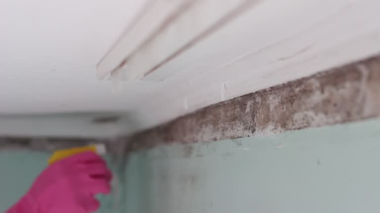 Best Mold Prevention Services  in Corcoran, CA